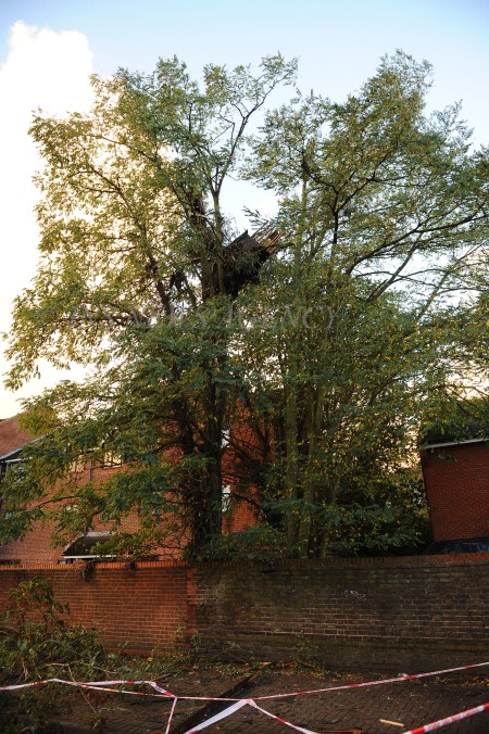 INS_Hounslow_House_Hit_By_Tree_47